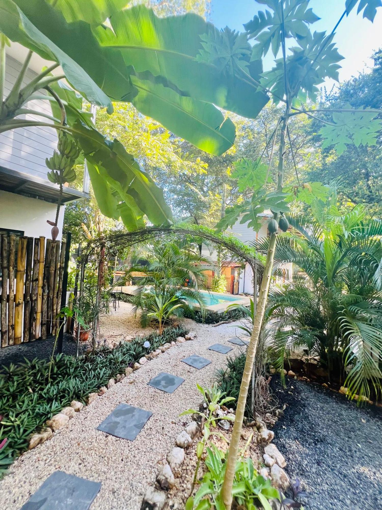 פלאיה אביאנאס Calipso Ocean Lodge- Avellana Beach Hotel מראה חיצוני תמונה
